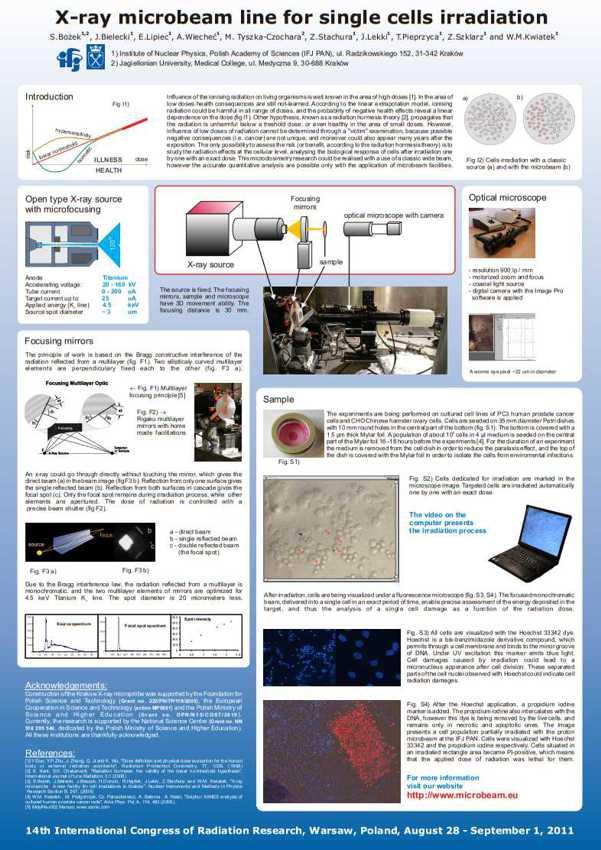 x-ray microbeam single cells irradiation